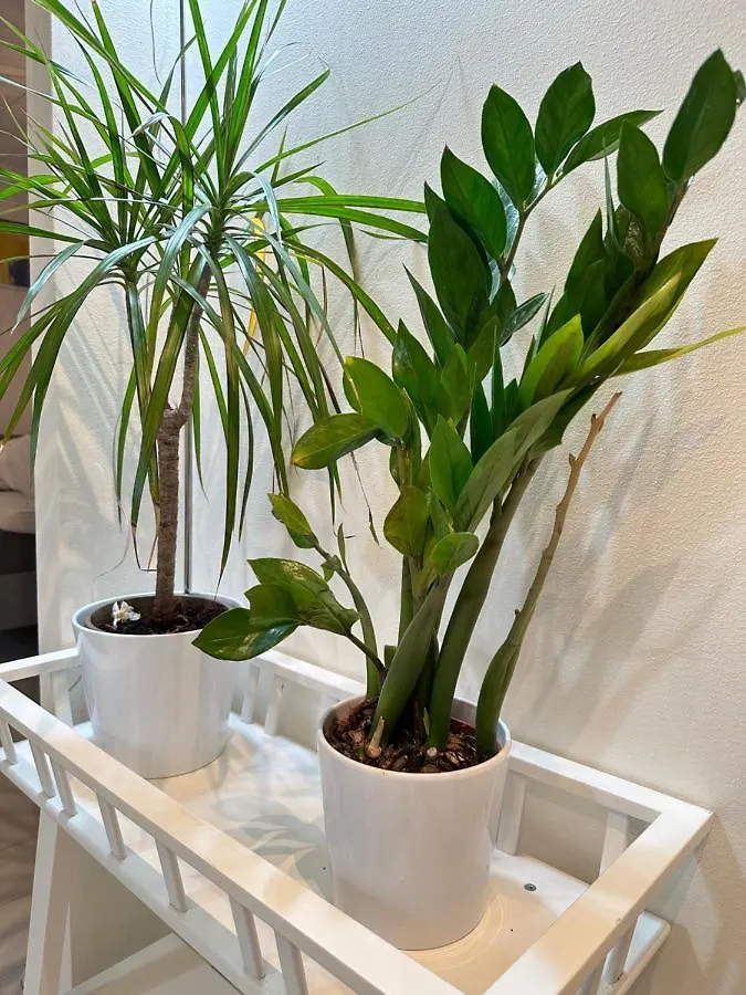 Holiday Travel Apartments Stockholm